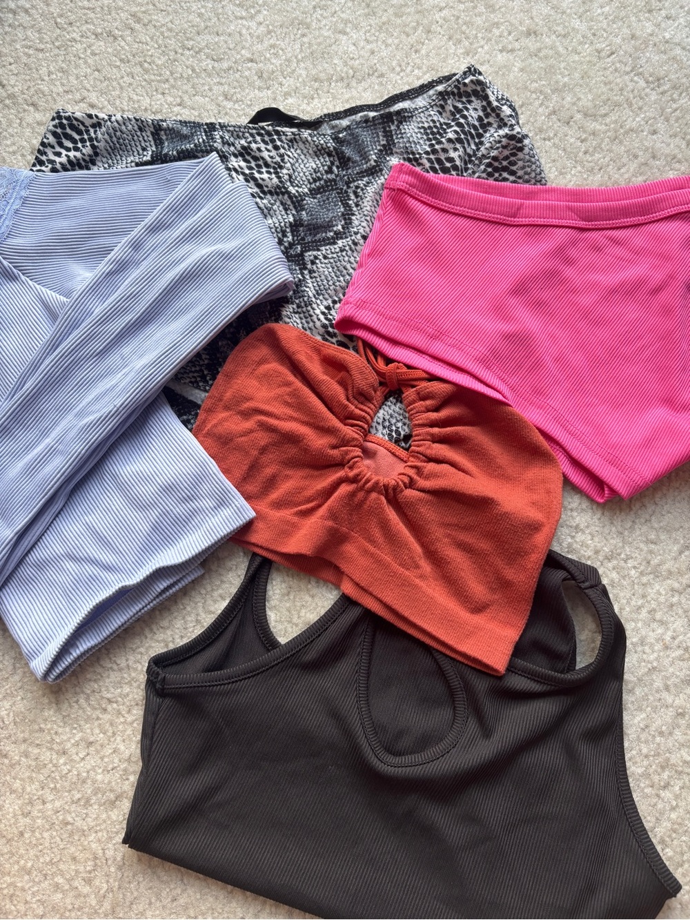 Bundle of Going Out Crop Tops - Black, Pink, Rust, Light Blue, Snake Print